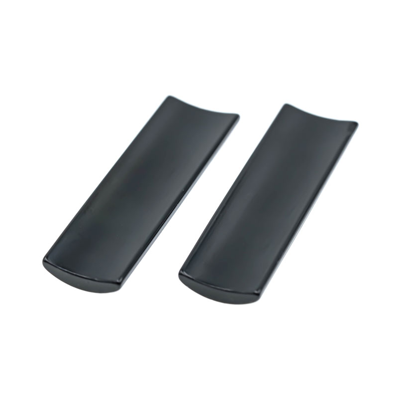 Magnes medicinae excitatrix