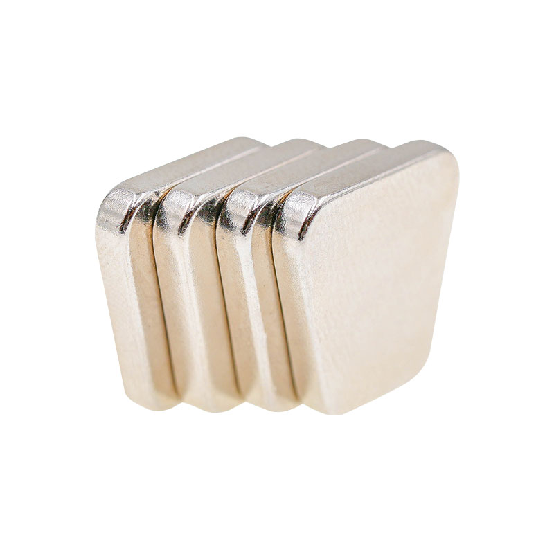 Trapezoides perpetuus magnes